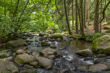 Image showing nature reserve in the Bavarian Forest