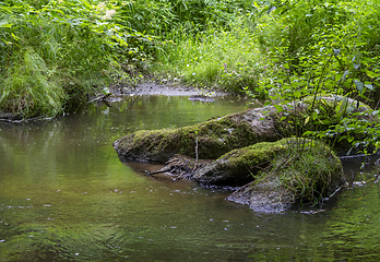 Image showing nature reserve in the Bavarian Forest