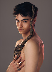 Image showing Portrait, man and model with snake in studio isolated on a gray background. Beauty, art and fashion of young male model posing with python, reptile or serpent for skincare, body care and cosmetics.