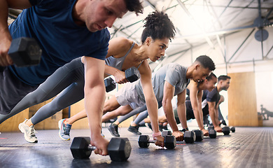 Image showing Strong, fitness and gym people with dumbbell teamwork training or exercise community, accountability and group. Sports diversity friends on floor in pushup muscle workout, power and wellness together