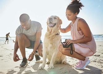 Image showing Fitness, couple and dog at beach, exercise and running on sand, ocean and summer workout, sports and healthy in sunshine. Strong man, woman and runner with labrador animal for cardio training at sea