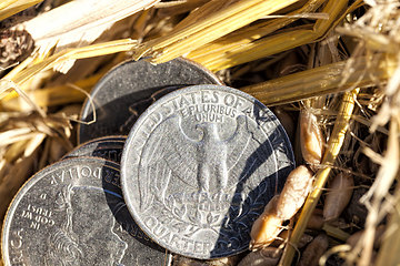 Image showing American coins are cents