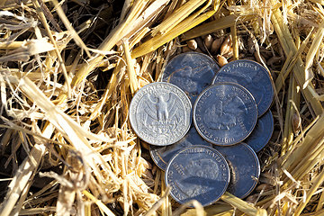 Image showing American coins are cents