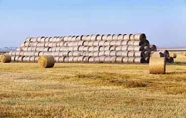 Image showing agricultural field with straw stacks