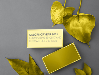 Image showing Colors of the year 2021: Ultimate Gray and Illuminating yellow concept