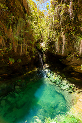 Image showing Rain forest waterfall, Madagascar wilderness landscape