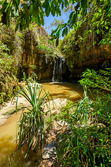 Image showing Rain forest waterfall, Madagascar wilderness landscape