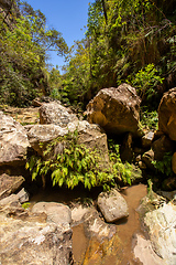 Image showing Isalo National Park in the Ihorombe Region, Madagascar