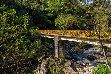 Image showing Bridge in Ranomafana National Park, Madagascar wilderness landscape