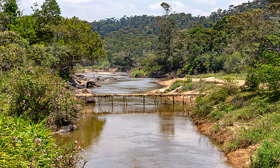 Image showing Foot bridge in Ranomafana National Park, Madagascar wilderness landscape