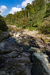 Image showing Madagascar mountain river, Ranomafana national park. Madagascar wilderness landscape