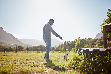 Image showing Man training dog pets at park, garden and outdoors on a leash with sky background. Black man walking a jack russell terrier puppy animal and learning trick, command or play on grass field in nature