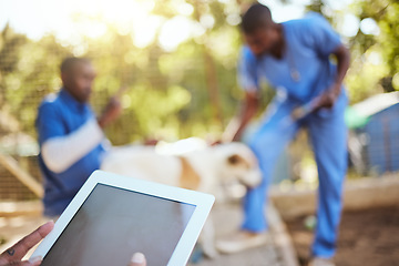 Image showing Veterinary, animals and vet with digital tablet in shelter doing check up, examination and taking care of dog. Healthcare, support and medical team working together in animal shelter with technology