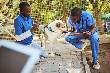 Image showing Animal, shelter and care for dog at vet of veterinary men helping pet in checkup holding clipboard for examination. Healthcare, teamwork and veterinarian medical workers examining at a dog shelter