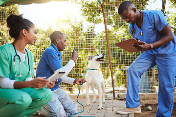 Image showing Volunteer veterinary doctors, dog at animal shelter and medical checkup for puppy before adoption. Care, charity and vet doctor for animal healthcare, wellness and obedience training with clipboard.