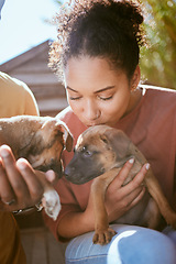 Image showing Love, dog and animal shelter with a black woman kissing a puppy at a rescue pound for adoption or care. Pet, homeless and foster with a female volunteer adopting a canine companion to rehome