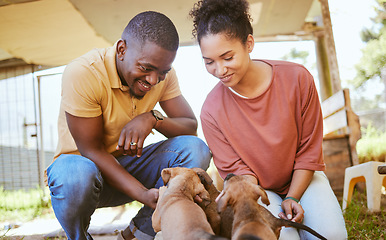 Image showing Love, black couple and playing with dogs at animal shelter or kennel. Care, support and happy interracial man and woman bonding with foster puppies and pets while thinking about adoption together.
