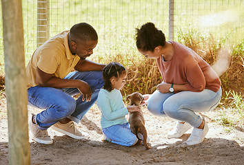 Image showing Love, black family and dog adoption at animal shelter, kennel or house. Care, support and choice of caring family choosing puppy to take home or foster for little girl bonding with cute pet in cage.