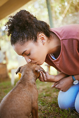 Image showing Kiss, dog and adoption with a black woman at a rescue shelter looking for a foster animal to love or care for. Kissing, love and pet with a young female adopting a puppy from a shelter to rehome