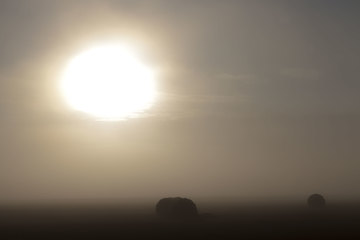 Image showing the sun shining in the sky