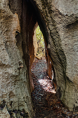 Image showing Petit Tsingy de Bemaraha, amazing landscape, Madagascar wilderness landscape