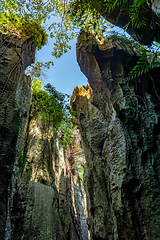 Image showing Petit Tsingy de Bemaraha, amazing landscape, Madagascar wilderness landscape