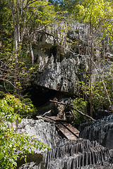 Image showing Petit Tsingy de Bemaraha, amazing landscape, Madagascar wilderness landscape