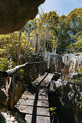 Image showing Petit Tsingy de Bemaraha, amazing landscape, Madagascar wilderness landscape