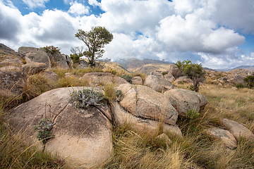 Image showing Andringitra national park,mountain landscape, Madagascar wilderness landscape