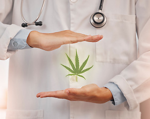 Image showing Health, doctor and hands frame cannabis, marijuana leaf and treatment of pain and wellness, healing and organic healthcare. Hemp, cbd and herbal therapy, thc and herbs, 420 and alternative medicine.