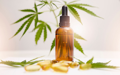 Image showing Cannabis, marijuana and product with oil of cbd for alternative medicine, natural skincare or healthcare supplement. Beauty, luxury and wellness with legal pills and weed plant for anxiety and stress