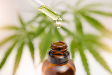 Image showing Dropper, glass bottle and cbd oil for holistic healthcare, pain management or stress control in anxiety, depression or ptsd relief. Zoom, cannabis leaf or marijuana medicine product from weed extract