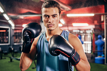 Image showing Fitness, sports or motivation man boxer in gym studio with gloves for training, cardio workout or exercise. Focus, mma portrait or male athlete in boxing ring with goal vision, health or fight energy