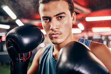 Image showing Man, boxing portrait and mma training for sports health fitness in gym. Healthy exercise workout, focus boxer face and hands ready with boxing gloves for fist fight competition in boxing studio