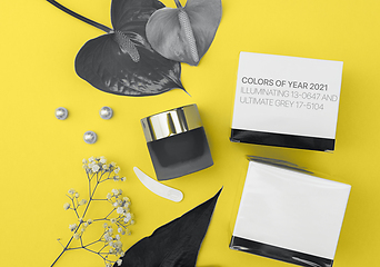 Image showing Colors of the year 2021: Ultimate Gray and Illuminating yellow concept