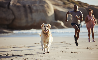 Image showing Couple, beach and dog running for freedom or travel vacation together with pet owner. Healthy lifestyle, fitness workout and golden retriever puppy run on ocean sand for happiness or relax at sea