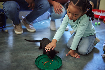 Image showing Child, girl or feeding kitten in pet shelter, adoption rescue or feline volunteer community clinic with health, wellness or development food. Kid, youth or animal care for cats in foster charity home