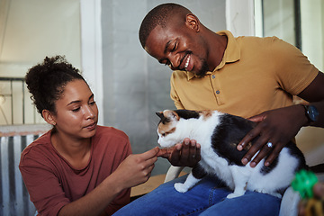 Image showing Happy black couple, love and cat in home, playing or bonding. Support, care or interracial couple, man and woman with pet, kitty or kitten loving, caring or enjoying quality time with animal in house