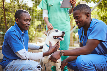 Image showing Veterinary, group and doctor with dog while working in healthcare, wellness and animal health. Vet, volunteer and pet with black man, nurse or people for medical, care or adoption of animal outdoor