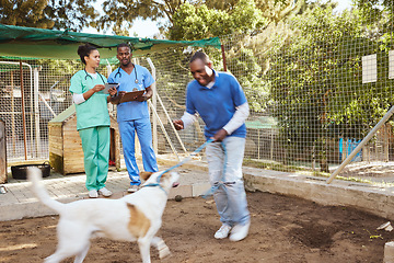 Image showing Dog, veterinary and healthcare doctor or team with tablet, writing notes for animals medical check, support and puppy care. Nonprofit volunteer people helping with pet care at dogs homeless community