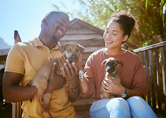 Image showing Dog, animal shelter and rescue with a black couple holding a puppy for adoption at a welfare kennel. Help, canine and volunteer with a man and woman adopting dogs from a charity organization