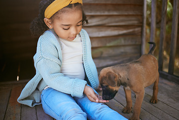 Image showing Child, puppy dog and smell hand for trust, friendship and love of new, domestic animal adoption and child development. Pet shelter, friendly german shepherd and girl learning pet care while bonding