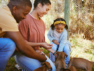 Image showing Black family, mother and father with child, puppies and playful together outdoor. African American parents, girl and with pets for adoption, happy and bonding on farm, for happiness and at shelter.