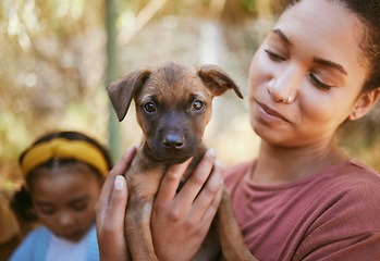 Image showing Dog, woman and hands holding puppy in love for adoption, life or bonding by animal shelter. Happy female carrying small little pup in hand for support, trust and loving affection for pet care or home