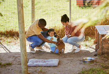 Image showing Black family, dog and animal shelter with a father, mother and child volunteer together to help with choice of puppy to love and care. Man, woman and girl with pet for adoption and charity outdoor