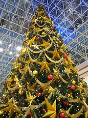 Image showing Christmas Tree