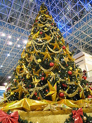 Image showing Christmas Tree