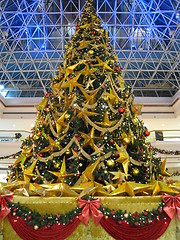 Image showing Christmas Tree