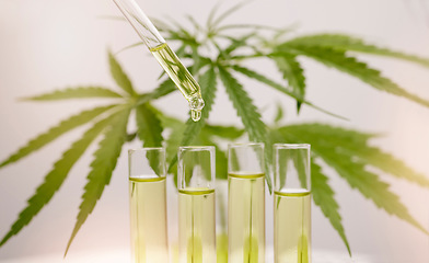 Image showing Cannabis, oil and dropper into glass for marijuana liquid, herbal medicine, and legal weed plant production, pharmaceutical hemp and formula. Cbd oil, holistic health and herbal leaf drops in bottle