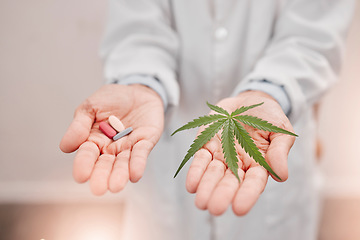 Image showing Cannabis, medical weed and marijuana pills in hand for natural pain relief with an organic thc, cbd and healthcare medicine. Big pharma, opioid crisis and pharmaceutical 420 prescription alternative